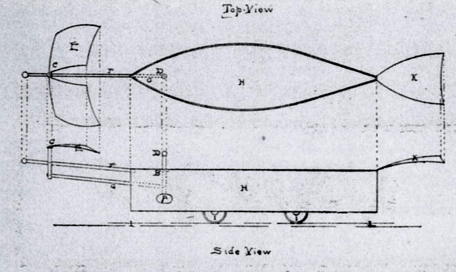 Whitehead News Articles