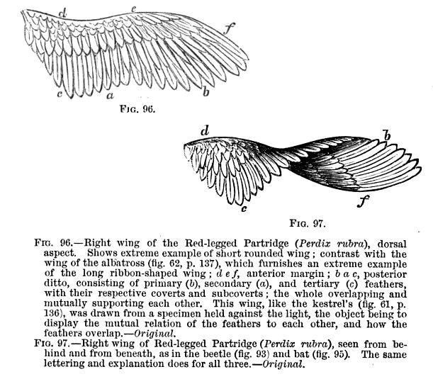 expert interview wright flyer airfoil design